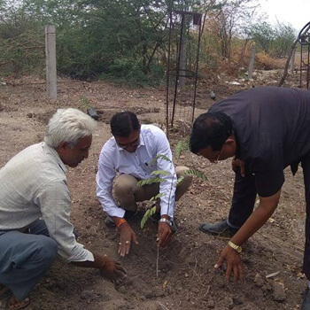 Water Conservation :  Tree Plantation